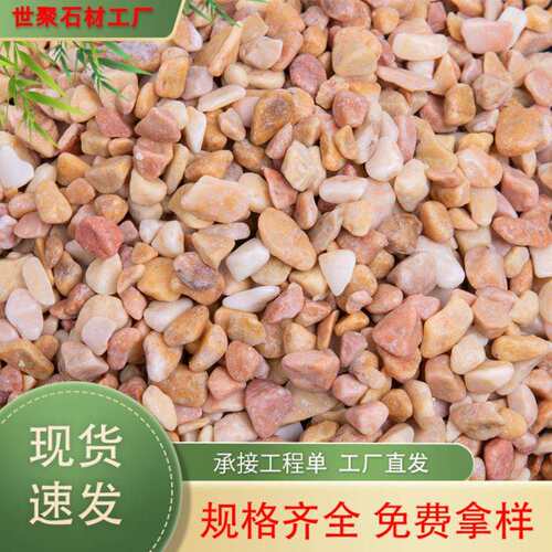黄水洗石洗米石水磨石水磨石建筑小碎石子 铺路山水造景水洗石