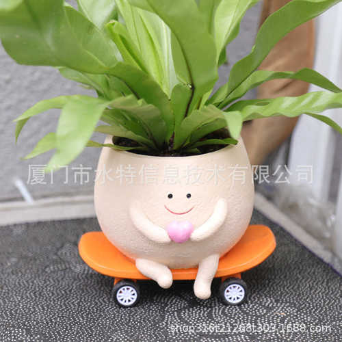 创意新款夏季可爱装饰轮花盆滑板布置办公室带肉多书房摆件