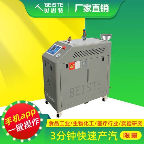 电加热蒸汽发生器免报检实验室道路养护食品商用工业用锅炉