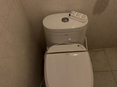 日本宫野智能马桶盖怎么样？用后一周彻底后悔了是吗？