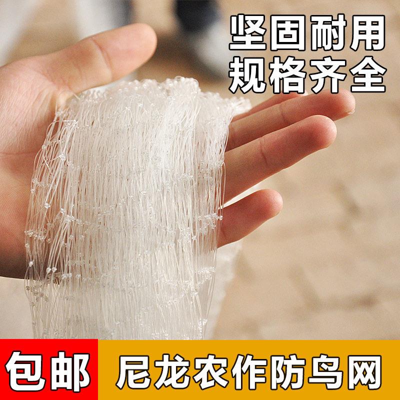 果树防鸟网樱桃葡萄果园大棚用的尼龙纱网丝网防护罩鱼塘养殖天网