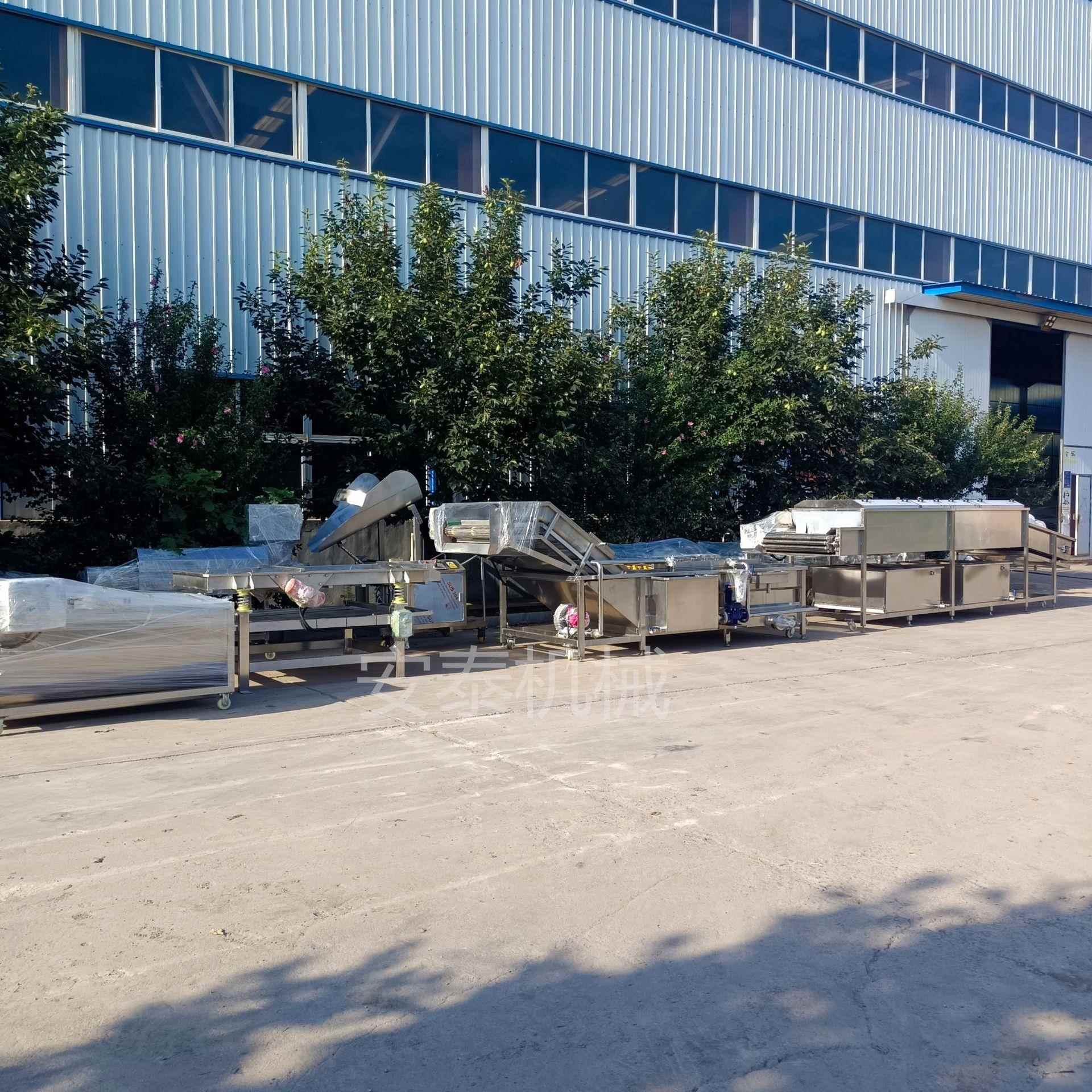 中草药多功能翻浪清洗机 半成品预制菜加工设备 杨梅清洗机包邮