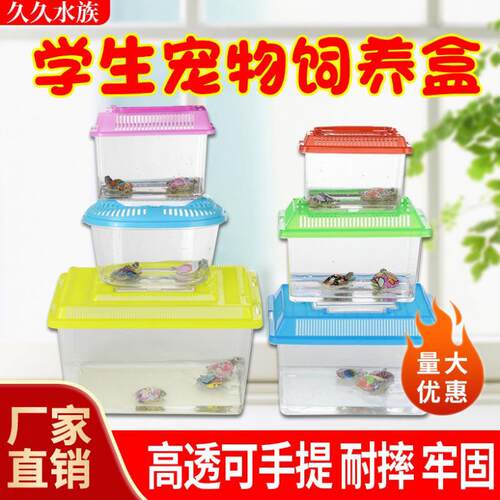 小乌龟缸手提塑料鱼缸金鱼缸仓鼠六角恐龙饲养爬虫夜市摆摊宠物