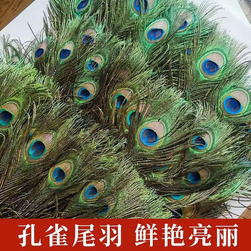 纯天然真孔雀羽毛翎尾大眼睛DIY饰品家居摆设客厅婚庆花瓶装饰品