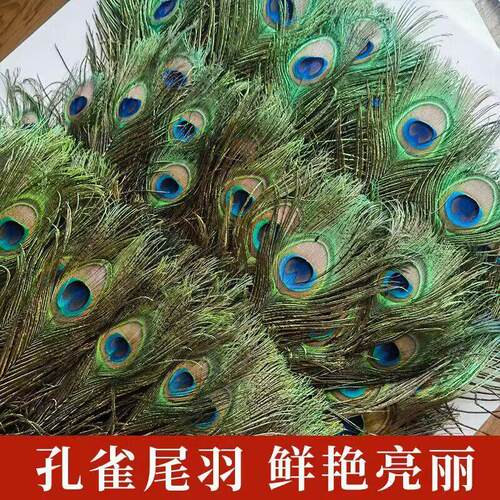 纯天然真孔雀羽毛翎尾大眼睛DIY饰品家居摆设客厅婚庆花瓶装饰品