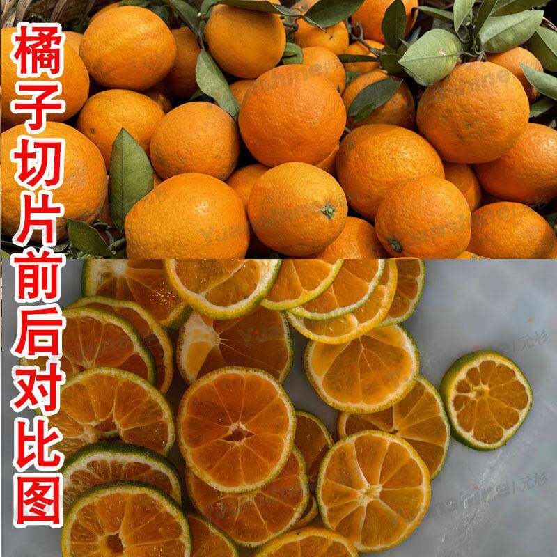 厂家现货包邮切香蕉片设备切片机云南芭蕉果蔬柠檬水果橙子