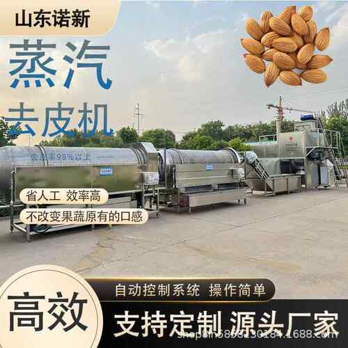商用全自动高温果蔬去皮机番茄高温爆皮机西红柿酱加工去皮设备
