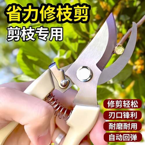 园艺剪修枝剪花剪园林剪刀花艺