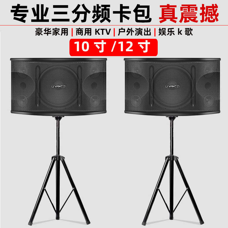 家庭KTV音响套装会议室舞蹈室卡拉OK家用卡包箱练歌8寸10寸12寸