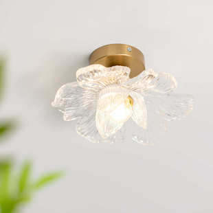 玄关衣帽简约灯过道间创意吸顶灯台灯吸顶灯后现代树脂玻璃花瓣阳