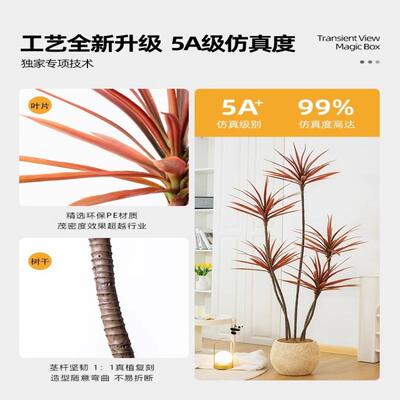 假绿植龙血树轻奢仿真植物高生端室内客厅仿饰装落8.26红色地摆件