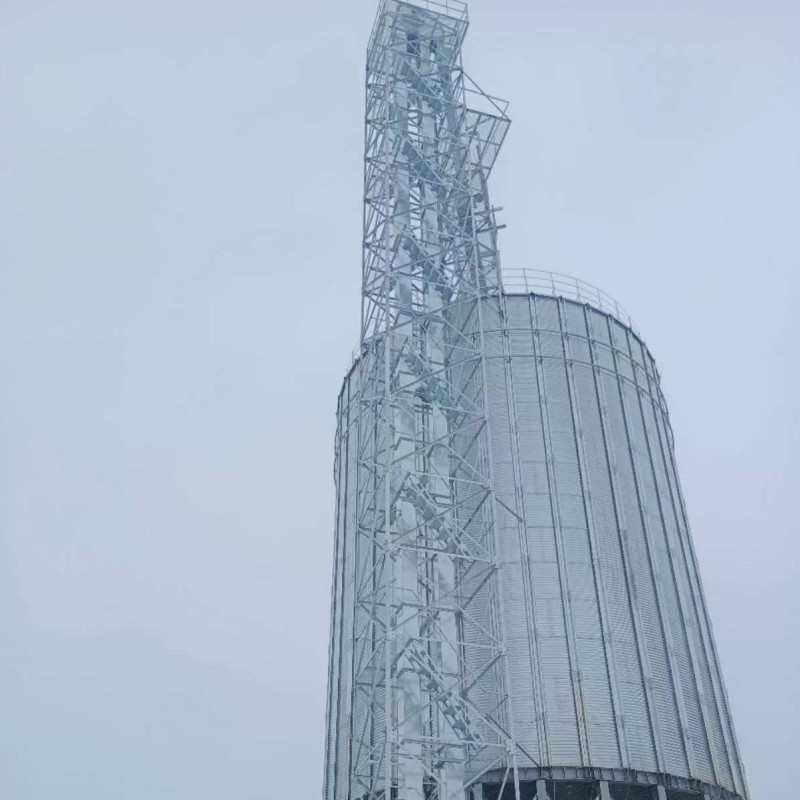 装配式钢板仓食品厂饲料厂用粮食镀锌波纹板500吨玉米储存立筒仓