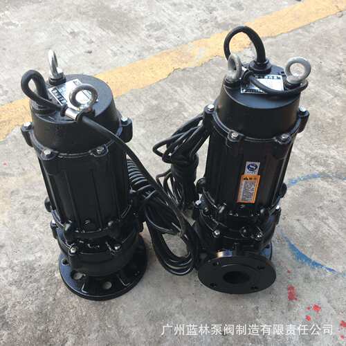 WQAS潜水切割泵 农业抽粪无堵塞 5.5kw排污泵潜污泥浆泵