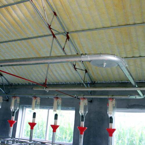 猪用料线养猪料线自动供料桶式料线盘式供料养猪设备料线厂家直供