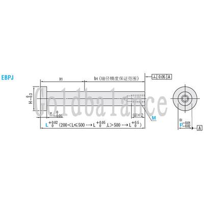 射梢顶针直推杆EPV-G0.4-60-0.3