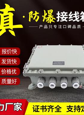 防爆接线箱开关动力照明空箱隔爆型电力仪表检修箱增安型IIBC厂家