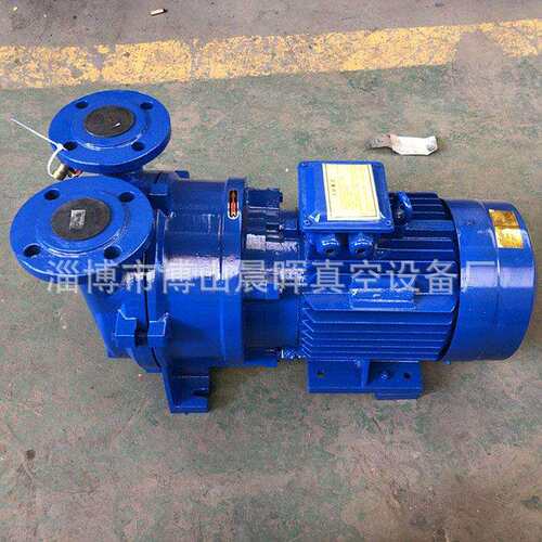 2BV水环式真空泵2060-512070-2026721-5110-5111-511-5131-61厂家