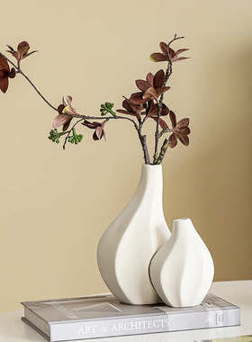 电视柜桌面摆件客厅插花新陶瓷花瓶高级感现代简约风白色艺术