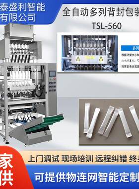 专业高速大型立式颗粒包装机一出多列背封立式包装机可配整线