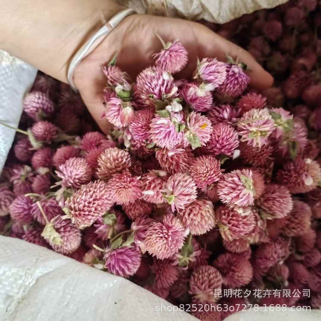 千日红头云d南干花千日粉花材材069料香薰蜡烛浮游花iy花真花