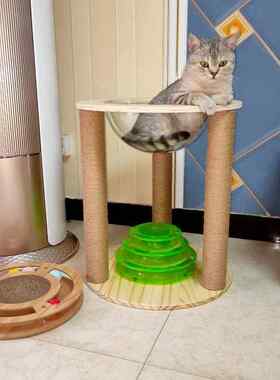 新款剑猫爬架 麻猫抓板咪实木猫树猫跳台品猫窝猫玩具猫用 多省包