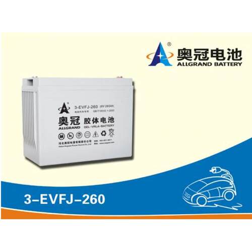 奥冠蓄电池3-EVFJ-260动力胶体免维护6V260AH机车电瓶正品质保