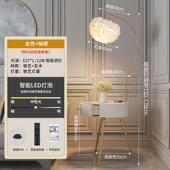 高档羽毛落灯客厅地卧室高感轻奢氛围沙发摆旁件茶几床头柜级台灯