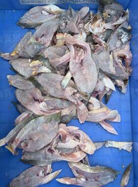 W水产加工设备鱼肉切片机切段机 企业公司食堂加工鱼段机斜切直切