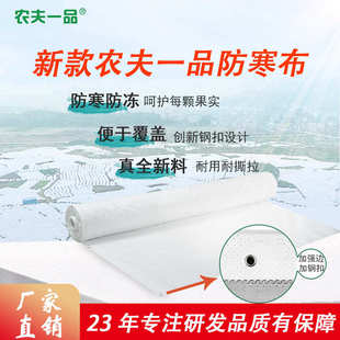 厂家直销柑橘果树防寒布不烧果防水保温透气防霜防冻布无纺布批发