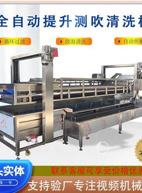 全自动果蔬洗菜机 花生大豆气泡清洗机 净菜加工连续式蔬菜清洗设