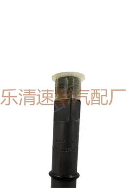 24425916 0432193486喷油嘴 02113133 02931905 BF4M2012 喷油器