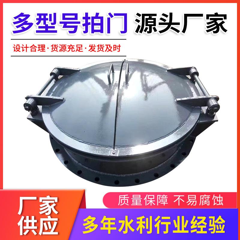 水利厂家铸铁拍门各种玻璃钢拍门铸铁拍门不锈钢拍门钢拍门