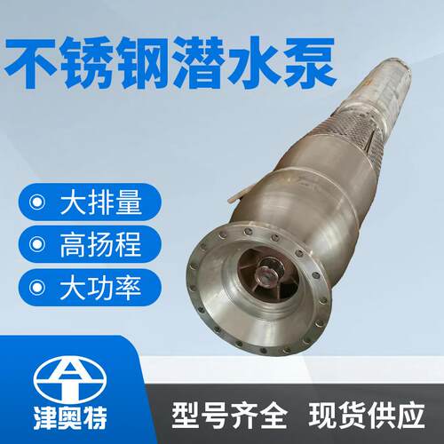 永磁海水提升电泵厂家高效井用潜水泵同步潜水电机白钢潜水泵