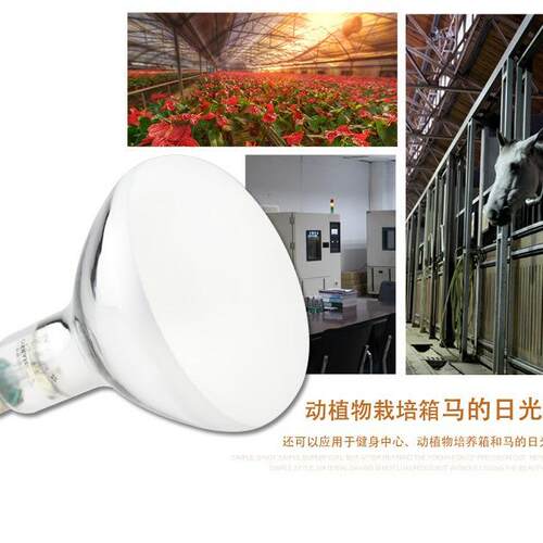 欧司朗/OSRAM 300W老化测试灯模拟太阳光灯泡 耐黄变 UV固化灯