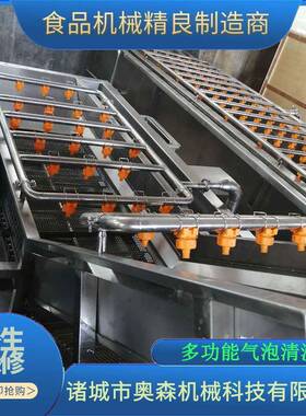 自动果气蔬清洗机 小龙虾土豆喷淋ALN式气泡清清全洗机 洗菜机泡