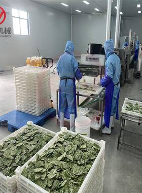 油炸海苔片的机器 天妇罗南瓜片油炸机 香酥翠叶上浆油炸设备