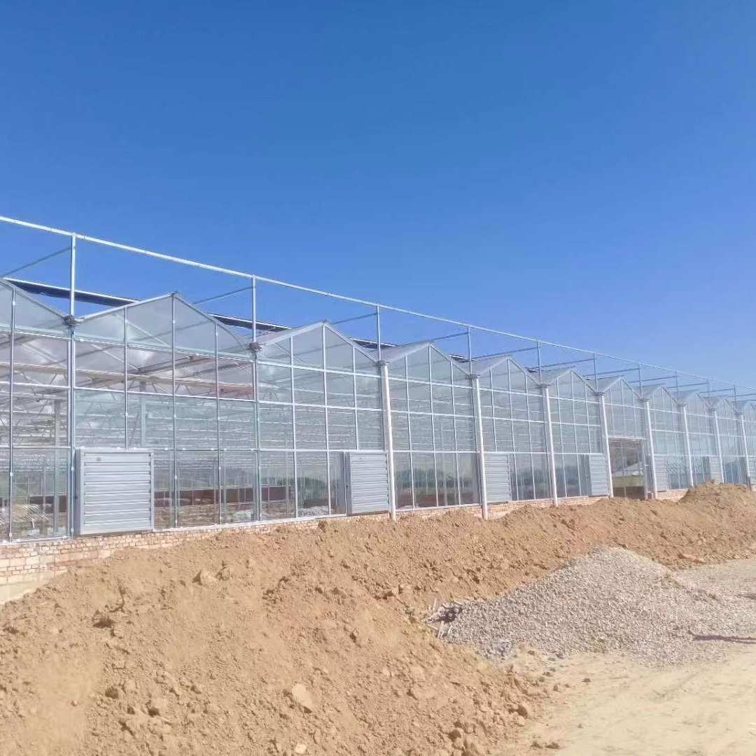 智能连栋薄膜温室大棚钢架日光温室智能温室设计建设厂家智能控制