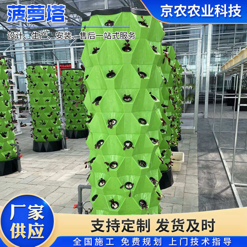 菠萝塔立体水培种植系统气雾栽培水果蔬菜种植设备无土栽培