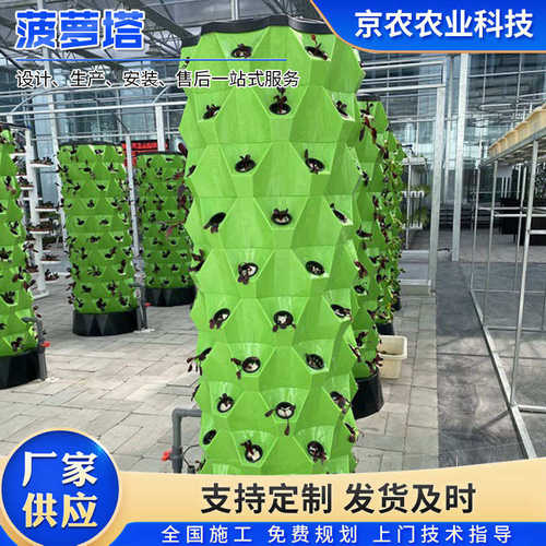 菠萝塔立体水培种植系统气雾栽培水果蔬菜种植设备无土栽培
