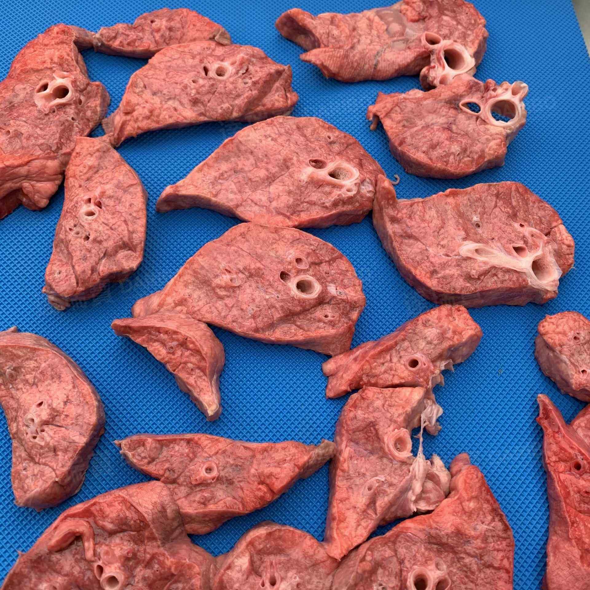 W猪肺切块机 猪肉脯切条机 鹅肉切块机 切条机萝卜条 鸡肉切块机