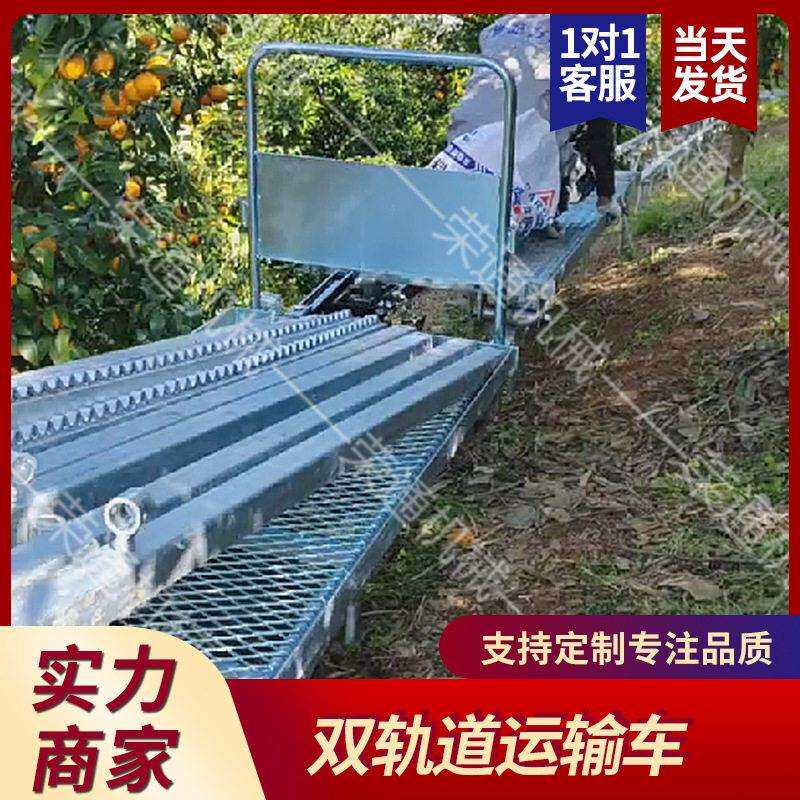 地KIS果山园双轨运输车农业电动物山双地爬坡农作载货轨运输车轨