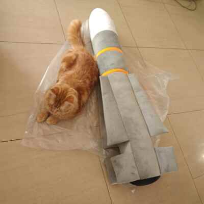 正品AIM5不死鸟大导弹号创抱枕意毛绒玩具4玩偶