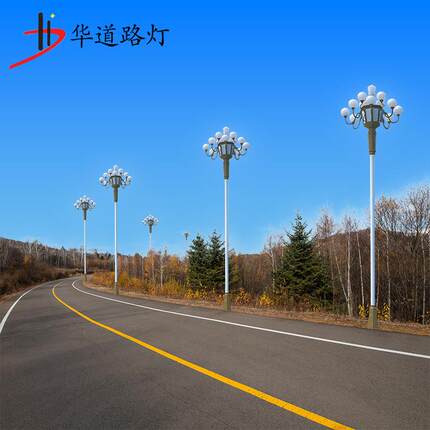 大型景观灯 中华灯十三火八叉九火15米广场景观灯 市政道路照明
