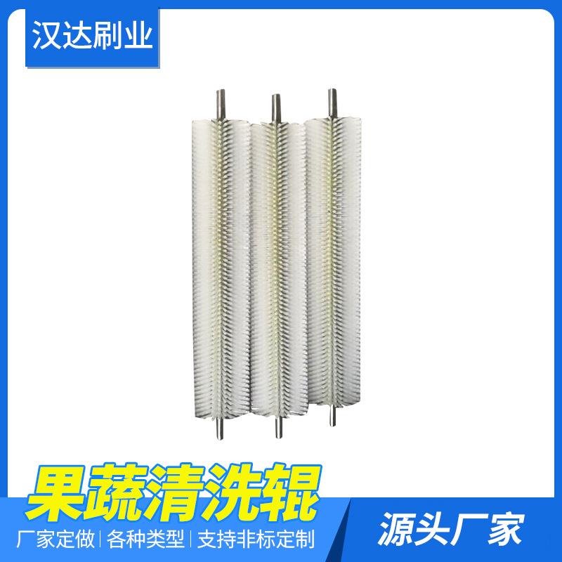 厂家供应清洗毛刷 果蔬清洗刷辊 去尘毛刷器 水果清扫器毛辊刷