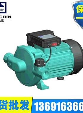 利歐水泵 LPm370HA750HA电动冷热水循环增压泵 全自动加压泵