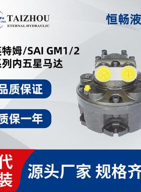 萨易SAI液压马达GM2-200/250/300船舶用油马达