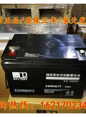 精卫UPS蓄电池6-GFM-100-YT消防12v24ah38ah65a100a120a150a200ah