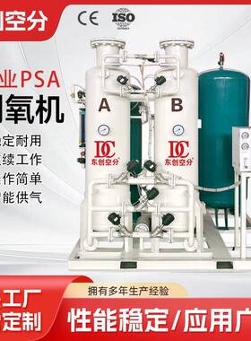 制氧机PSA工业氧气机工业切割氧气机水产养殖制氧设备厂家可定制