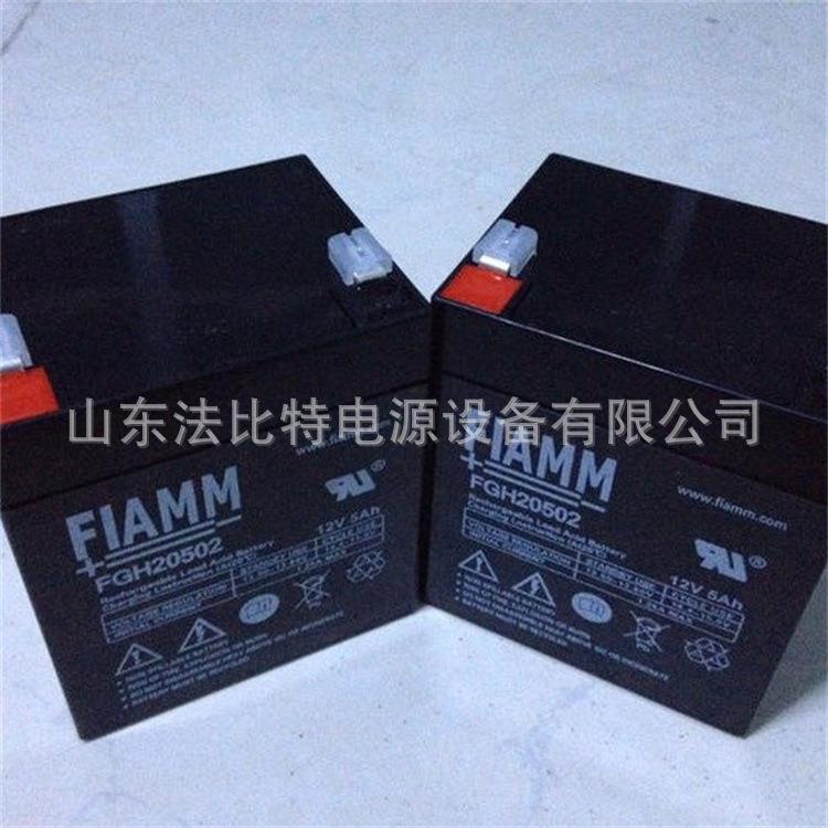 非凡铅酸蓄电池FGH20502风能发电12V5Ah质保1年 含税