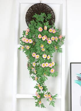 花雏菊藤蔓吊兰墙壁挂塑料假花挂件装饰室内客厅摆设墙上绢花